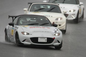 IMG_1279 IMG_1279
